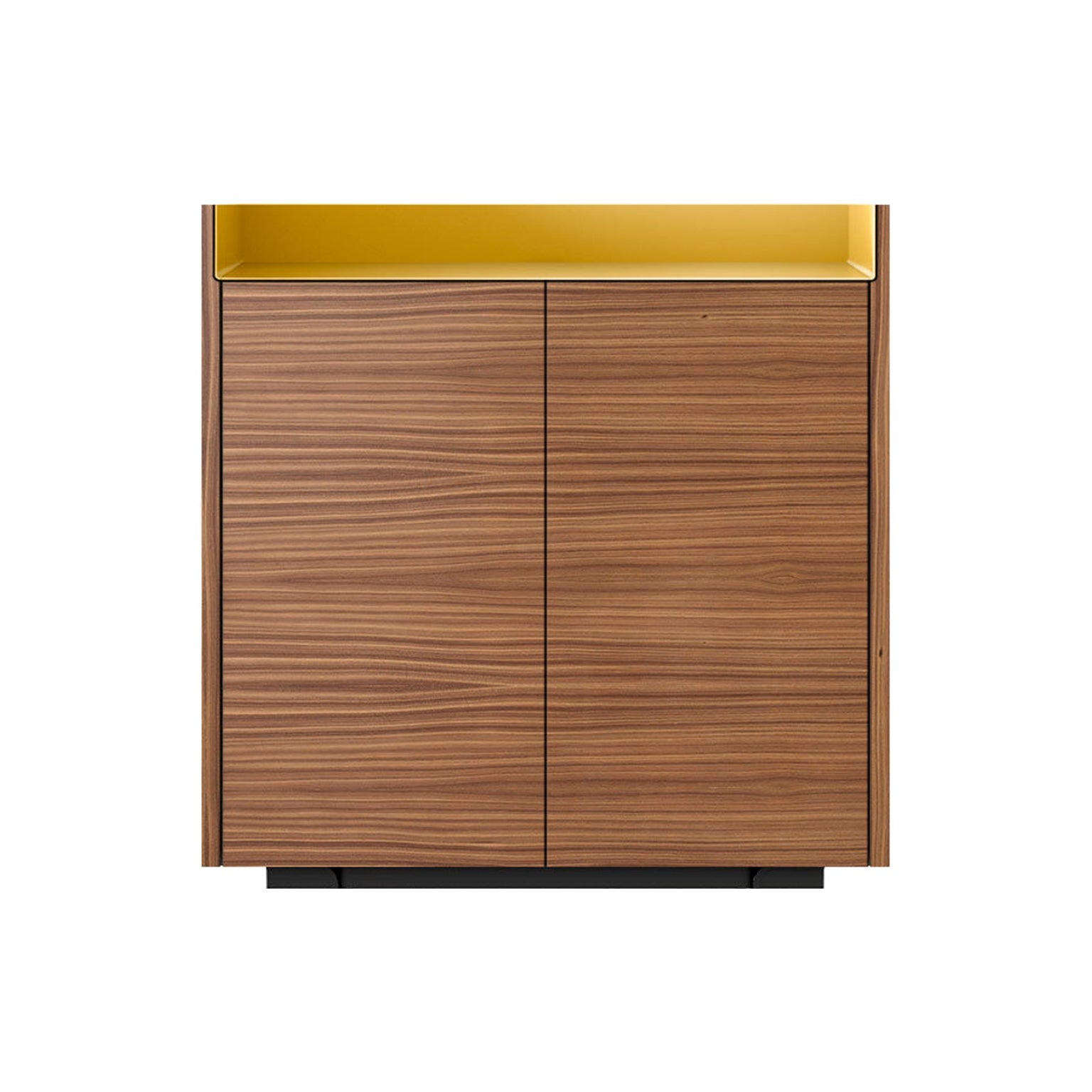 Stockholm STH011 Cupboard: Composition 1 + Super-Matt Walnut + Anodized Aluminum Gold + Black