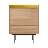 Stockholm STH012 Chest of Drawers: Composition 3 + Whitened Oak + Anodised Aluminum Gold + Black