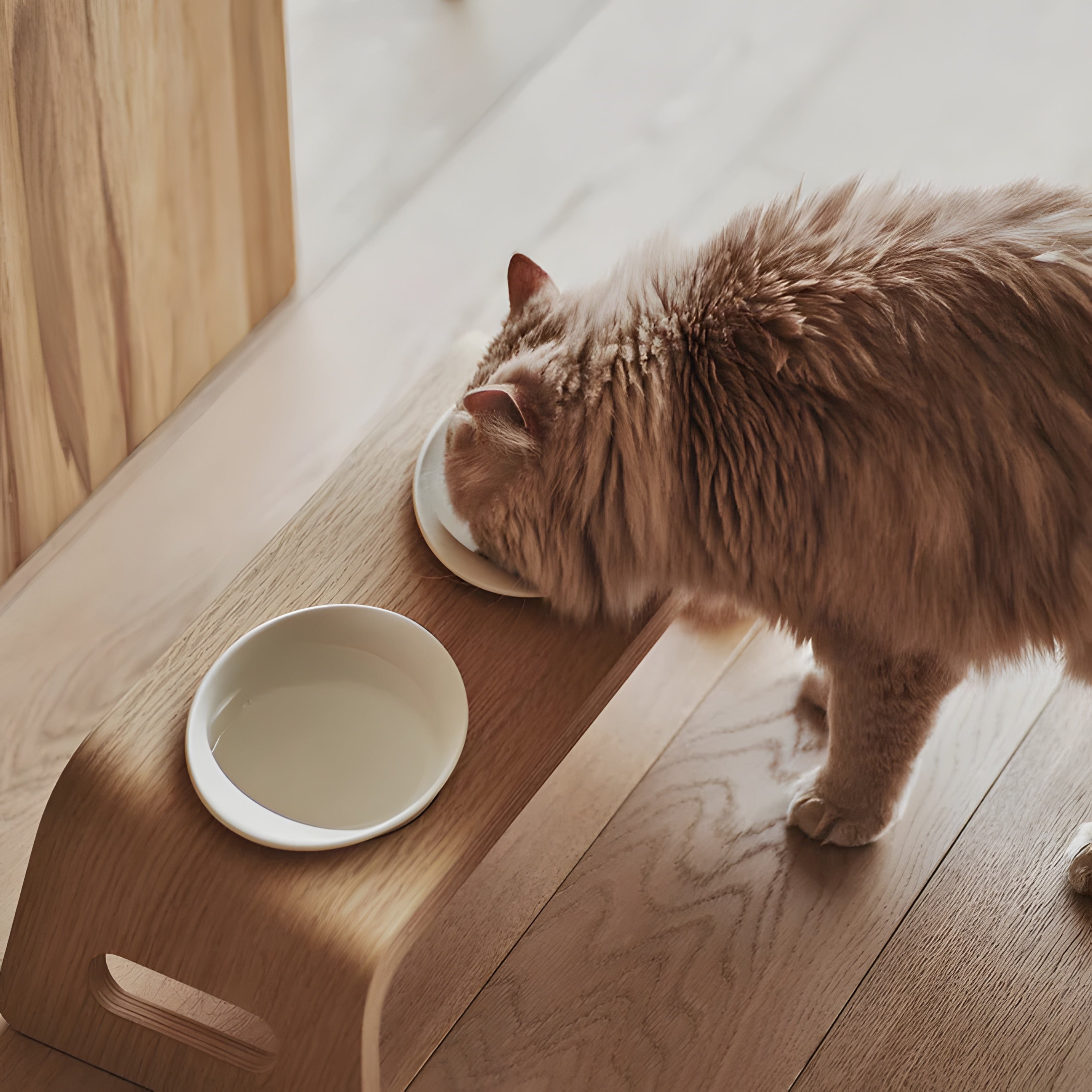 Cat Table