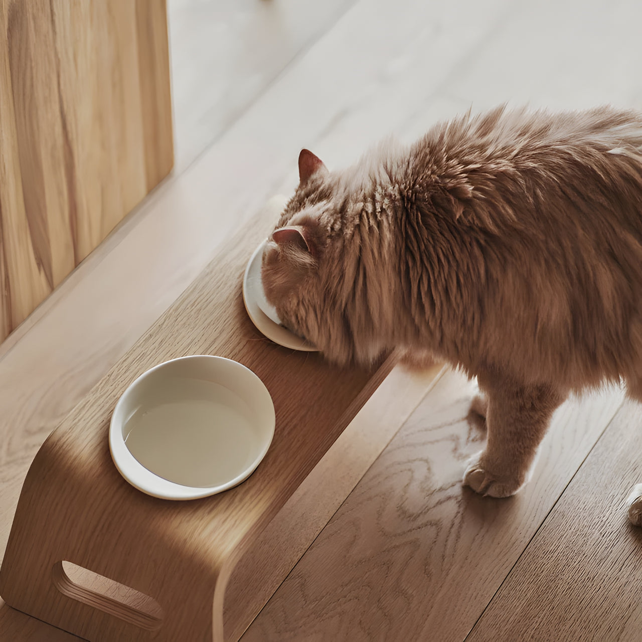 Cat Table