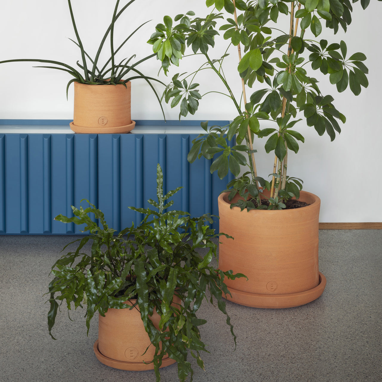 insitu