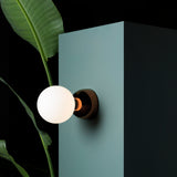 Aballs Ceiling + Wall Lamp
