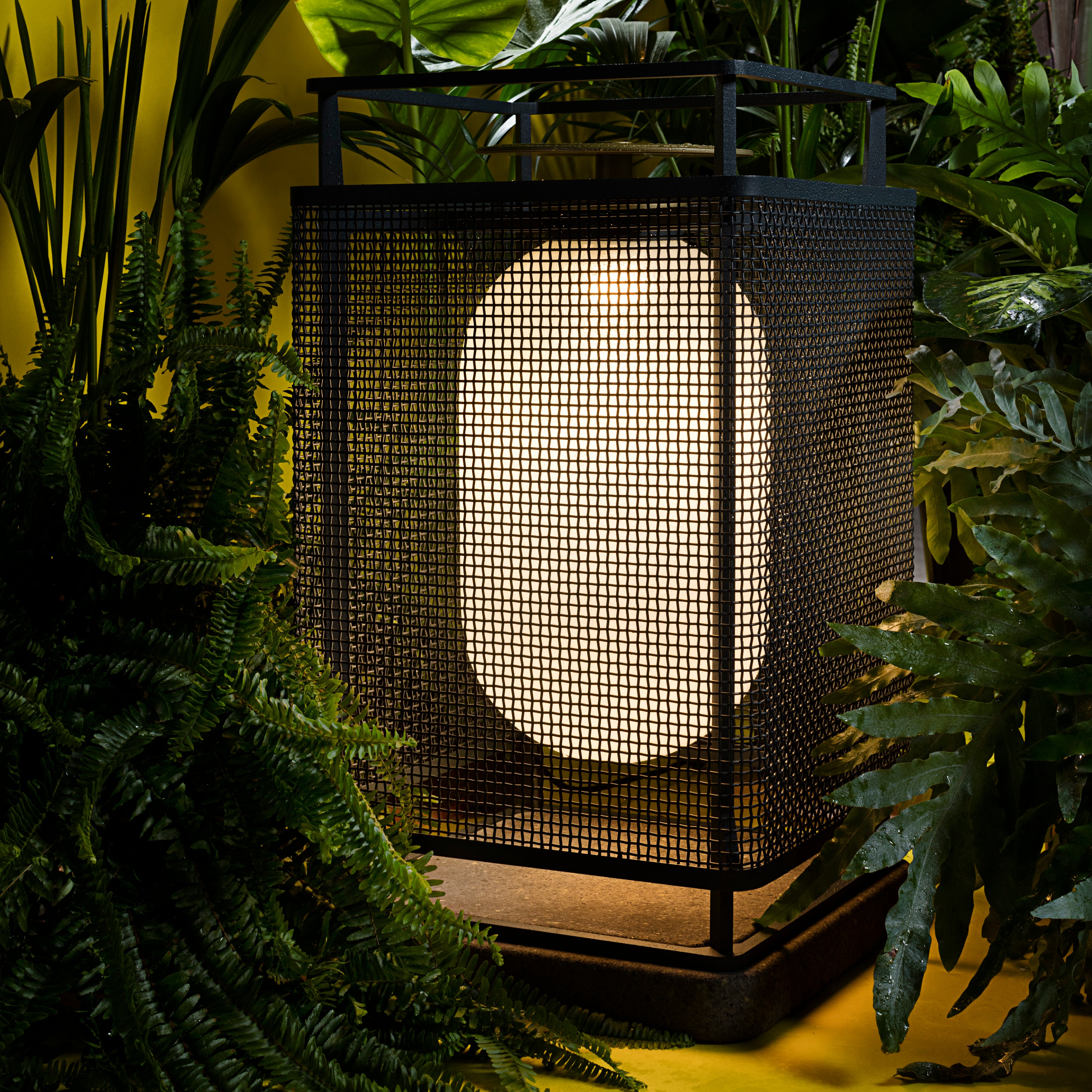 insitu