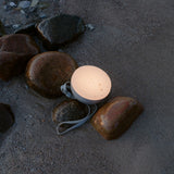 insitu