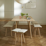 Georg Bench