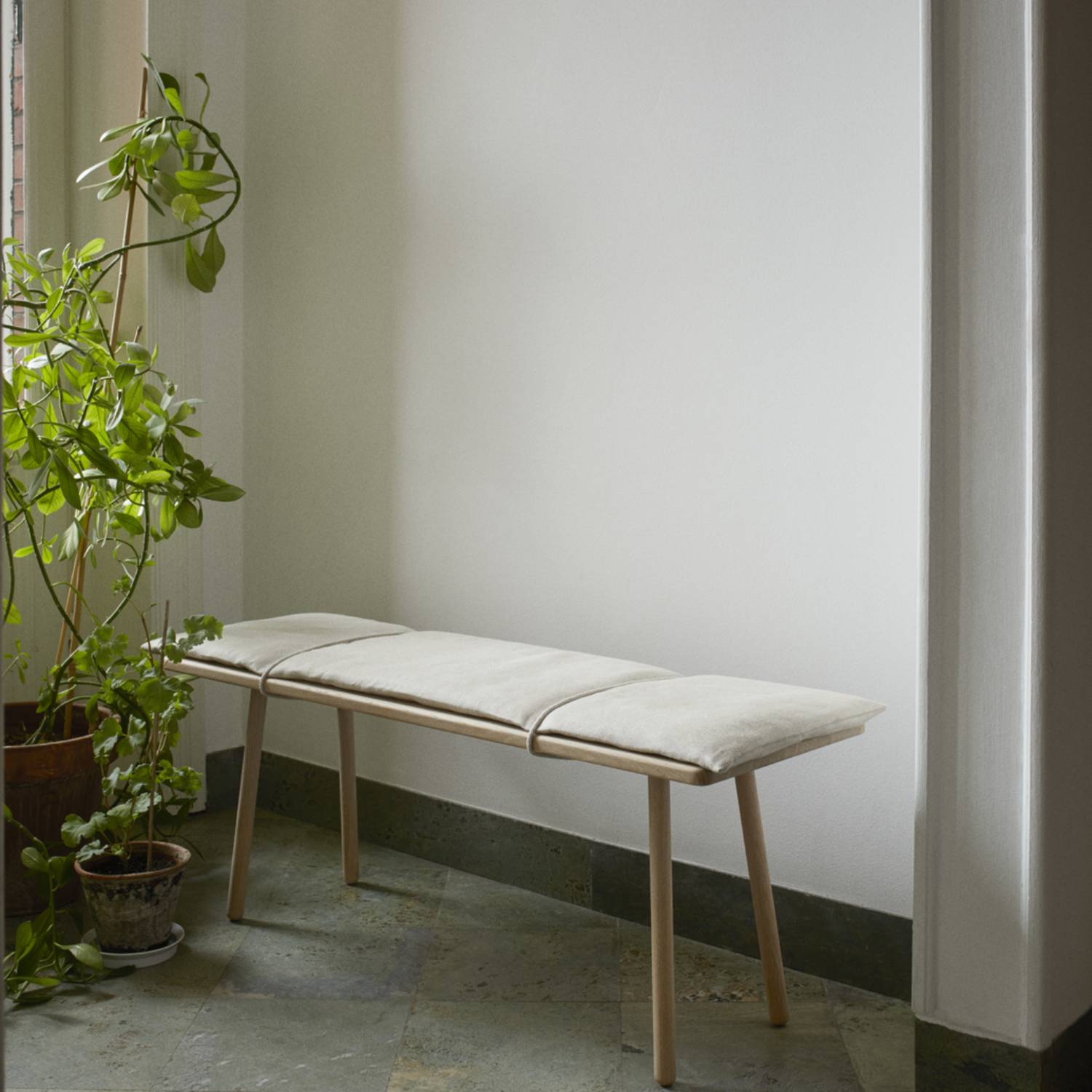 insitu