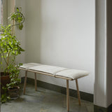 insitu