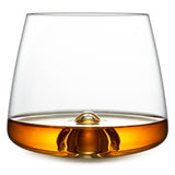 Whiskey Tumblers Set of 2