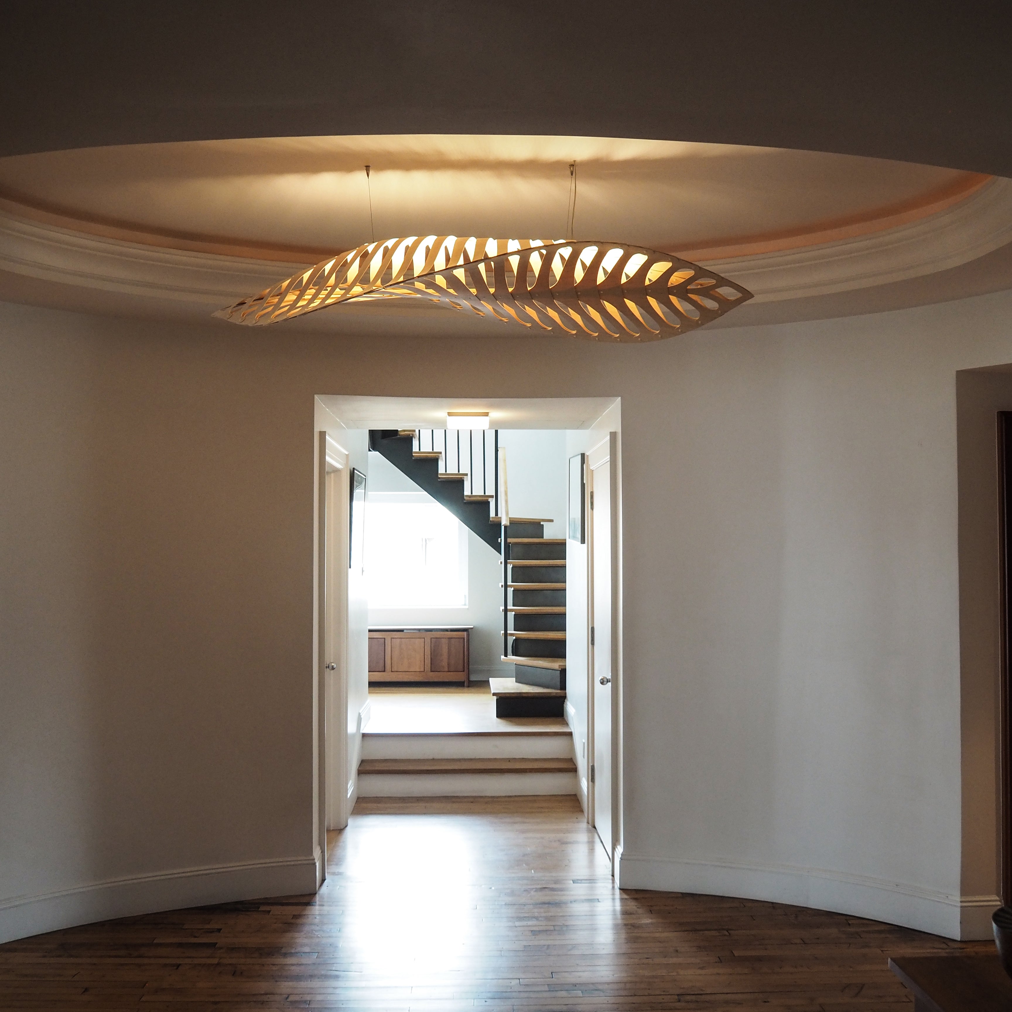 Navicula Pendant Light