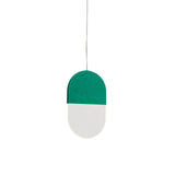 Slab P20 Pendant Light: 1 + Fern Green