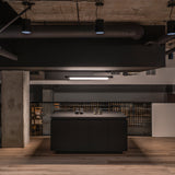 insitu