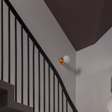 Aballs Ceiling + Wall Lamp