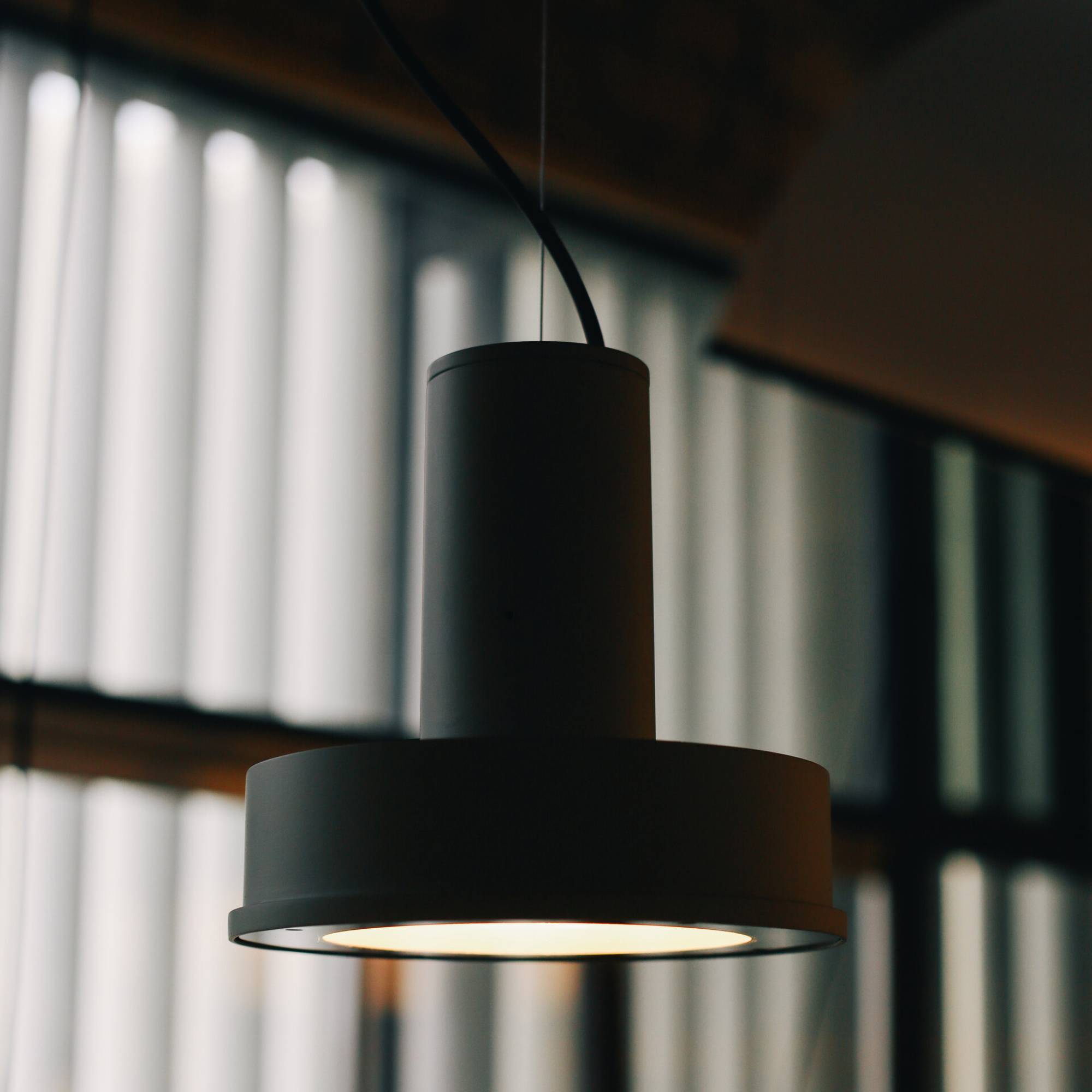 Arne S Domus Pendant Lamp