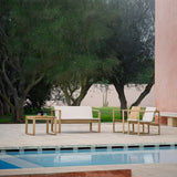 insitu