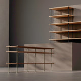 insitu