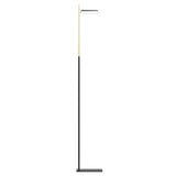 Talia Floor Lamp: Black + Brass