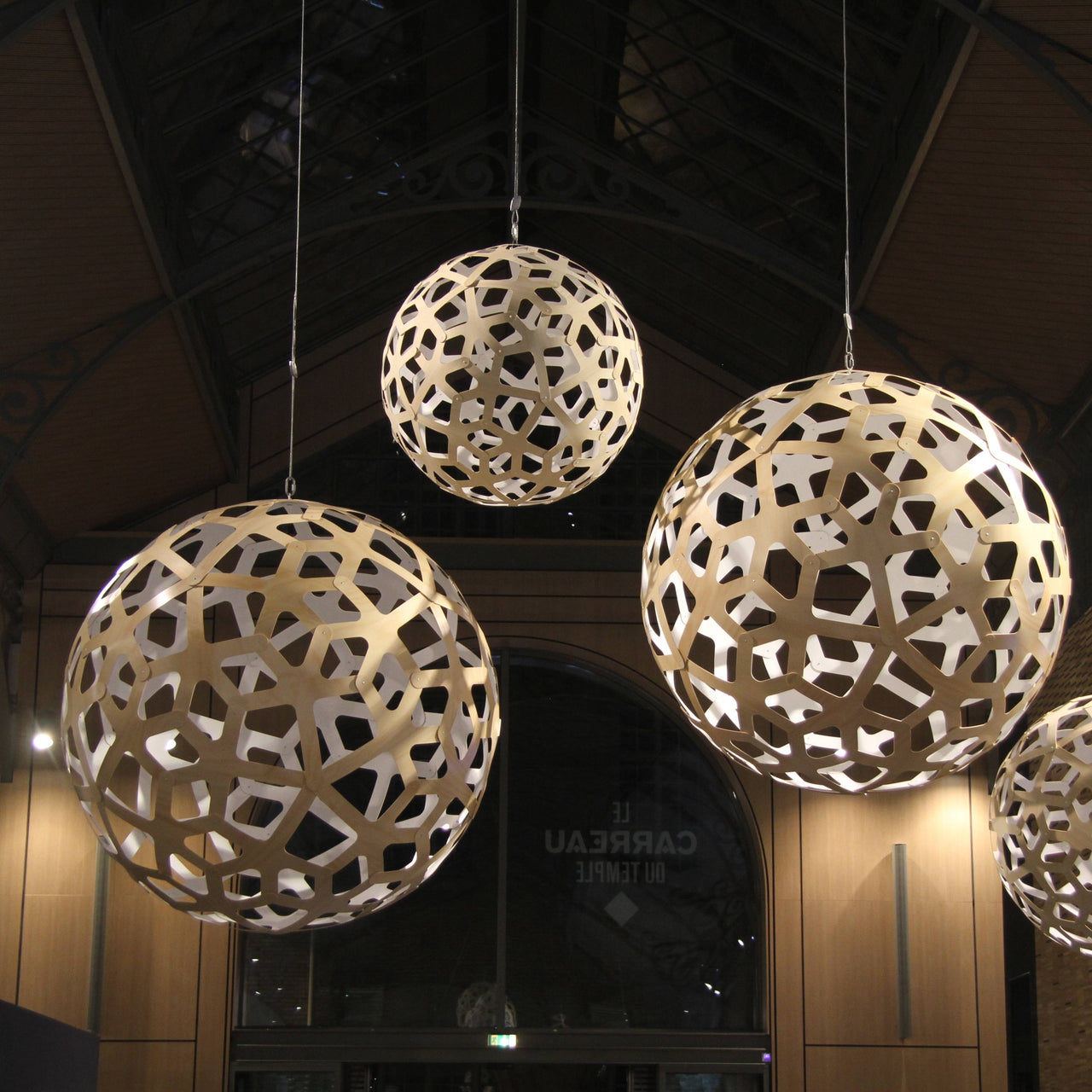 Coral Pendant Light: Large + LS