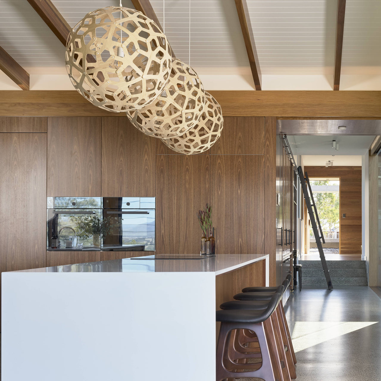 Coral Pendant Light: Large + LS