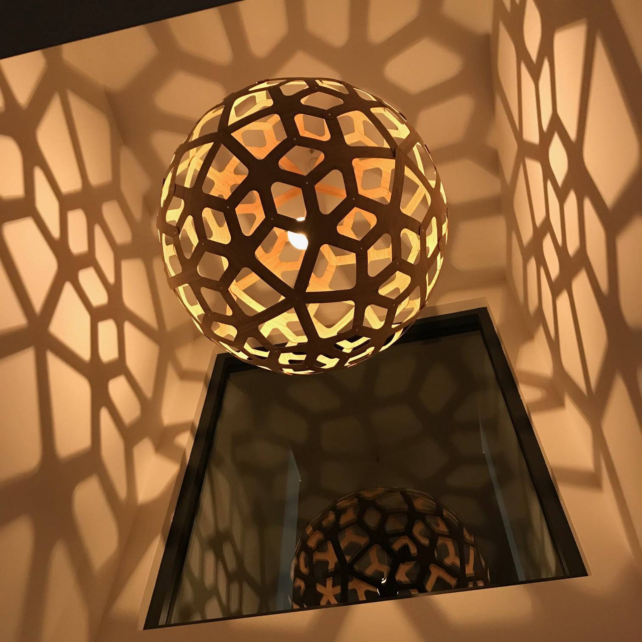 Coral Pendant Light: XX Large + LS
