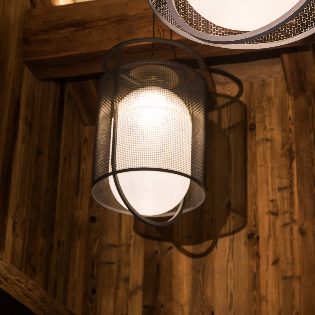Denglong In/Out Hanging Lamp