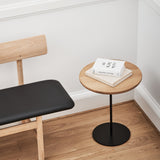 insitu