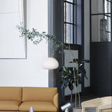 Fluid Pendant Light: LS