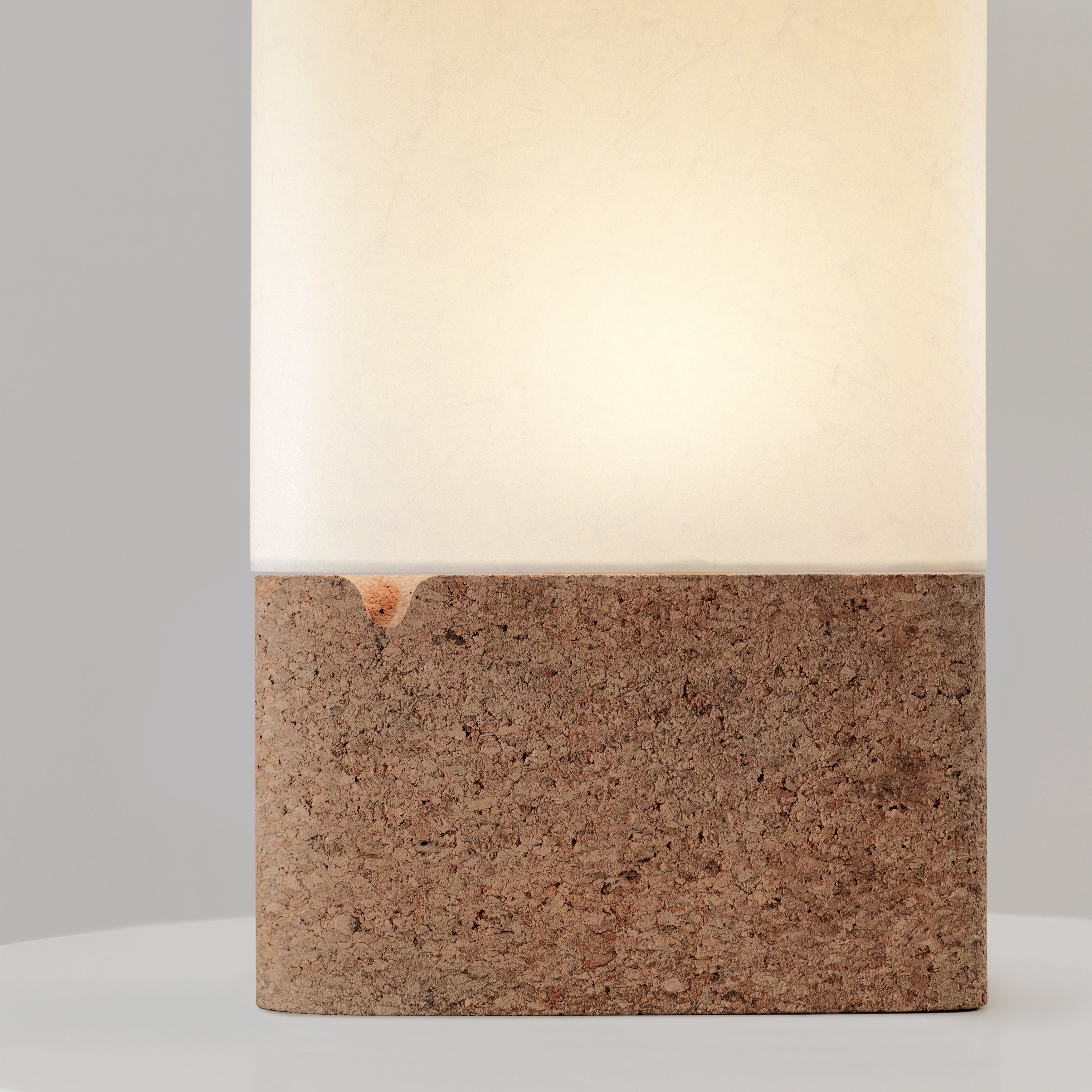 Fulcrum Lamp: DI