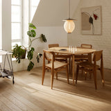 C-Chair Dining Chair