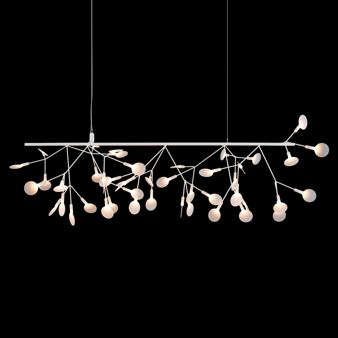 Heracleum Endless Suspension Lamp