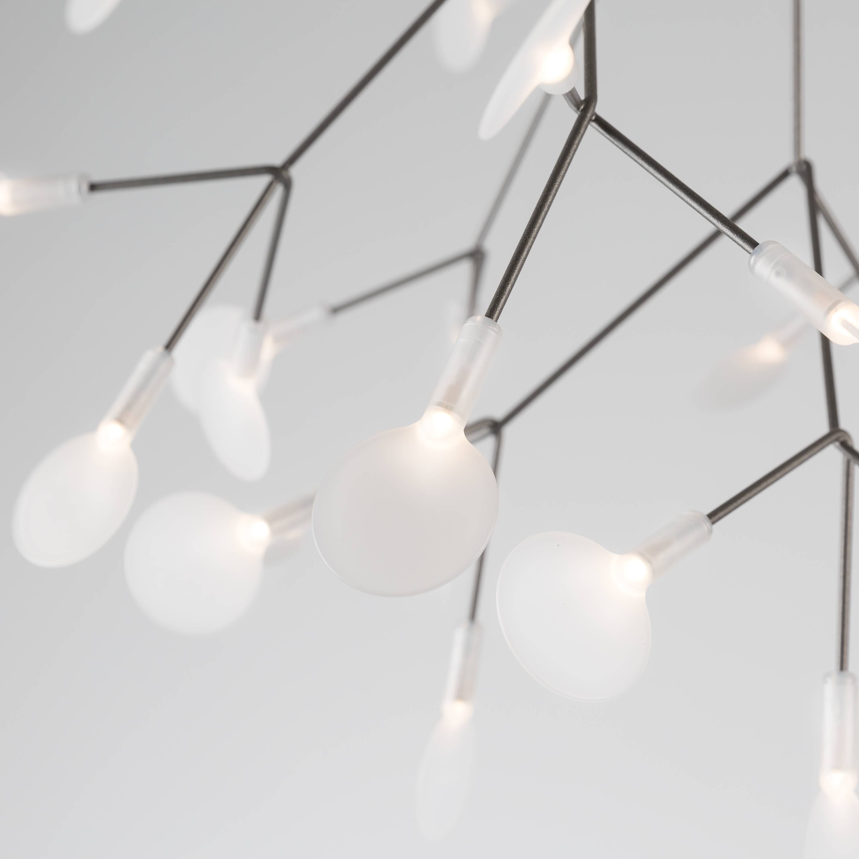 Heracleum Endless Suspension Lamp