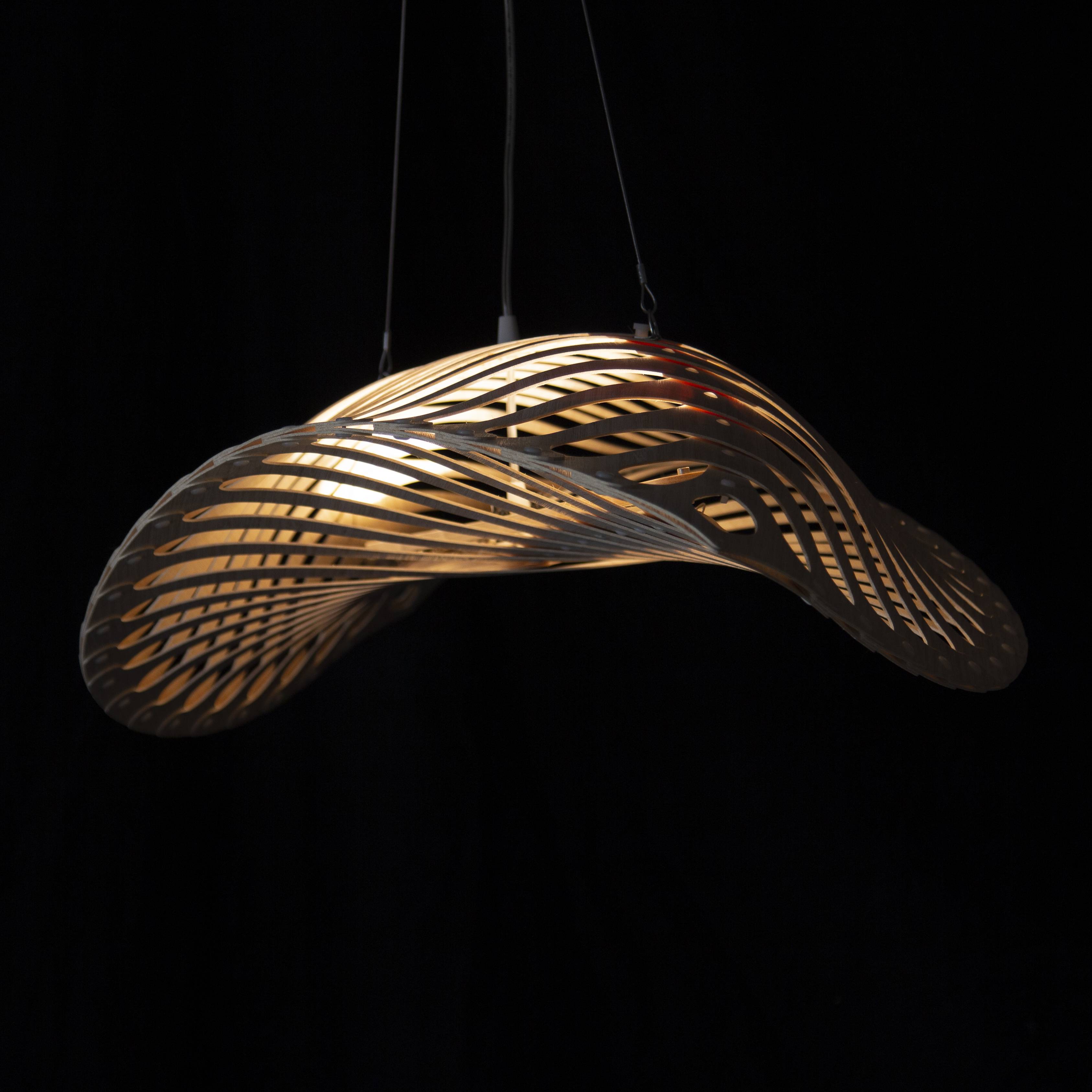 Navicula Pendant Light