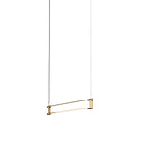 Thin Multiples Suspension Light: Dyad + 1 Segment - 24