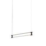 Thin Multiples Suspension Light: Dyad + 1 Segment - 36