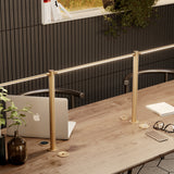 Thin Shared Task Lamp