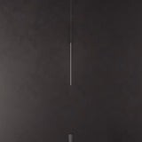 Thin Vertical Suspension Light: Small