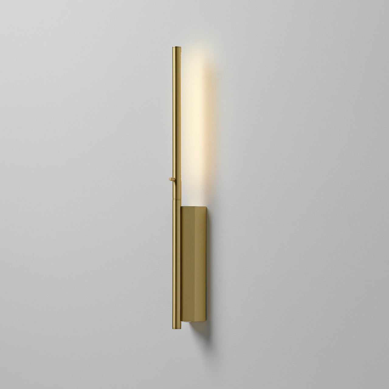 IP Link Reading Wall Light: Small