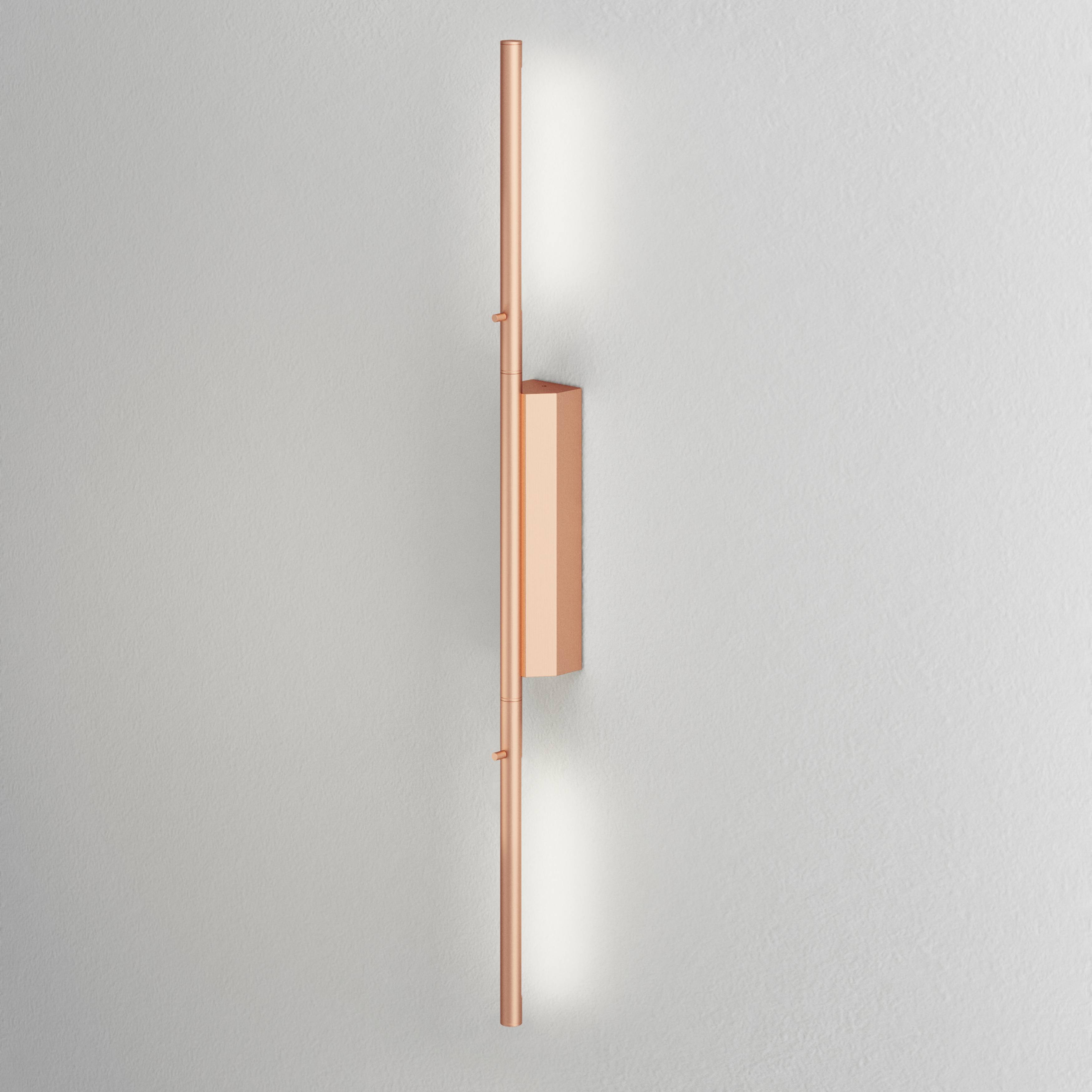 IP Link Double Reading Wall Light