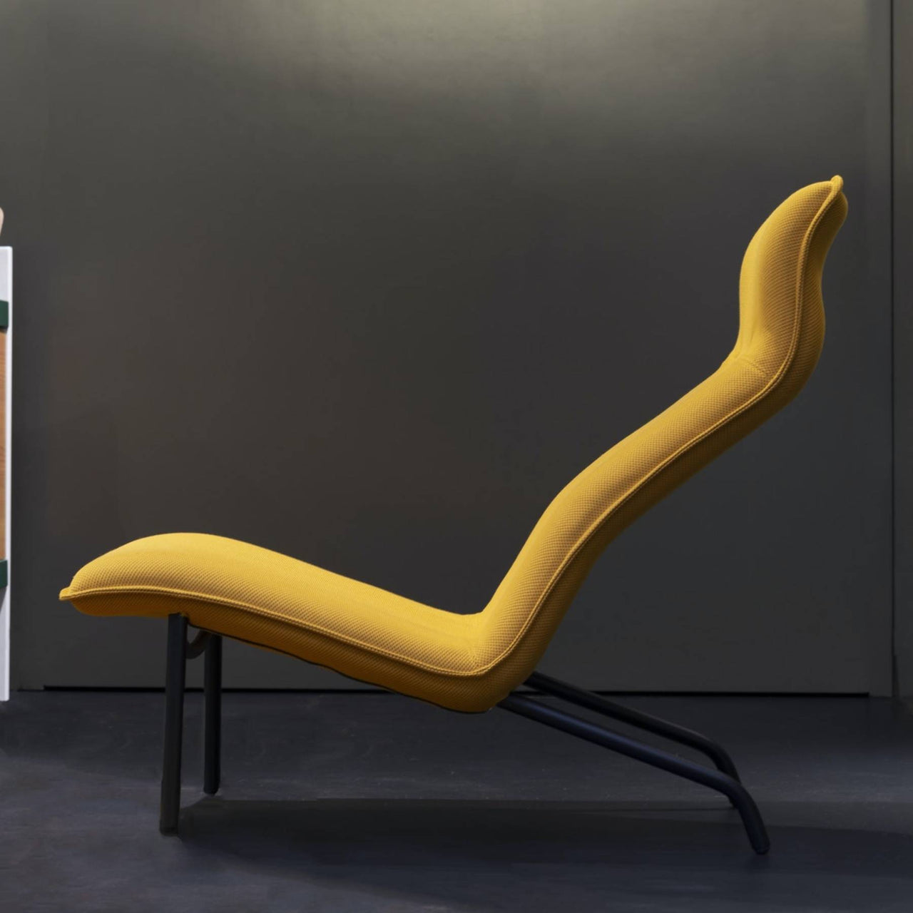 Lucio Lounge Chair