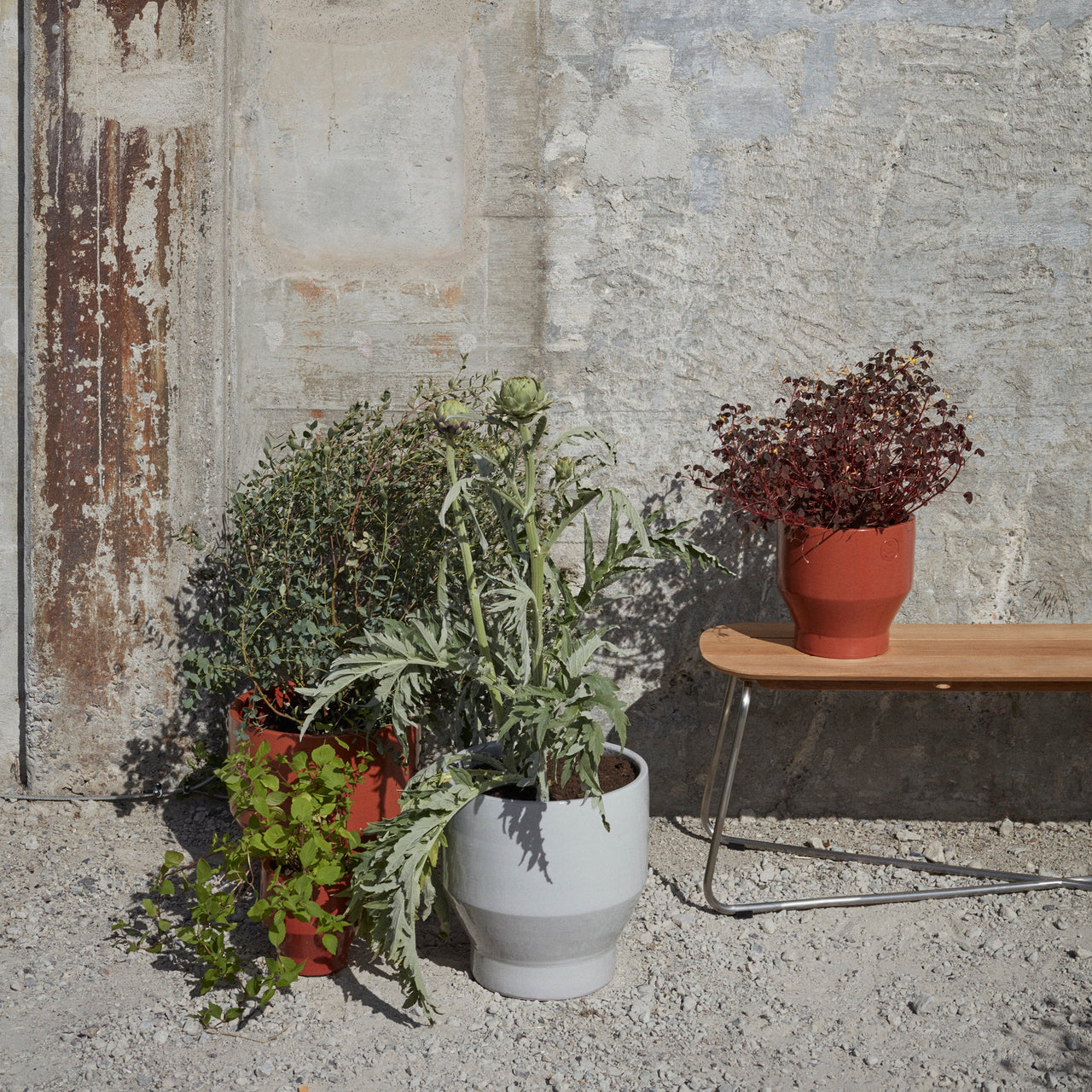 Lilium Bench: DI