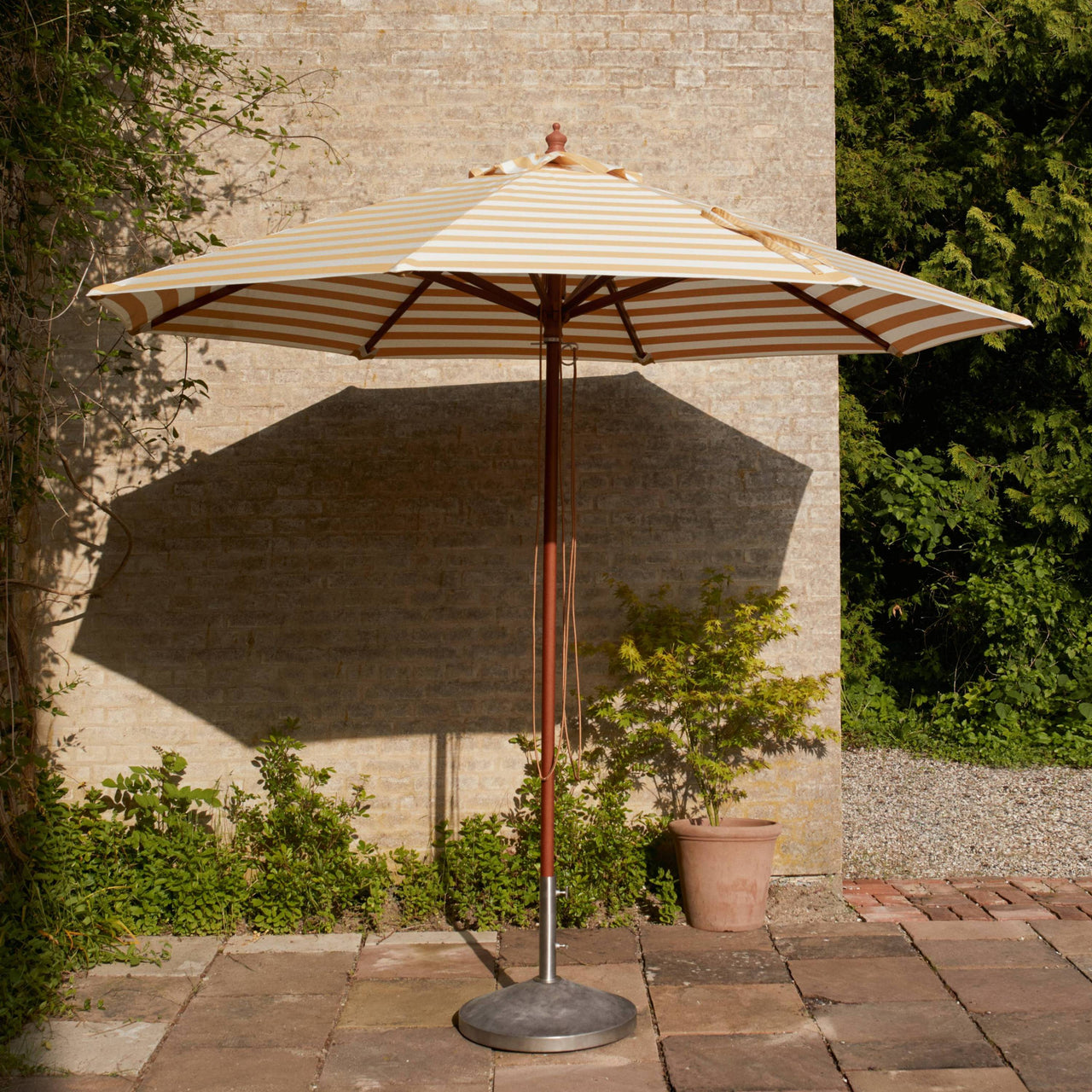 insitu