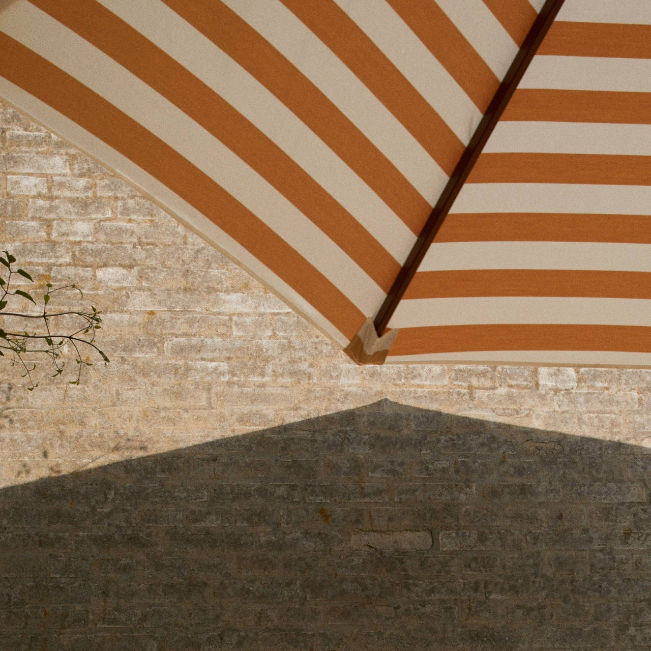 Messina Umbrella: Medium + DI