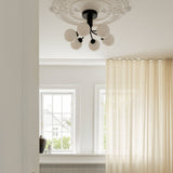 Apiales 6 Ceiling Lamp