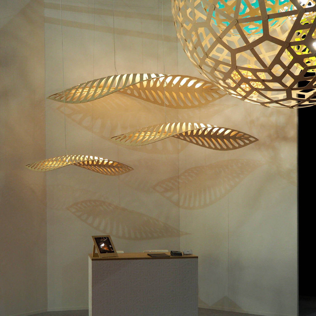 Navicula Pendant Light