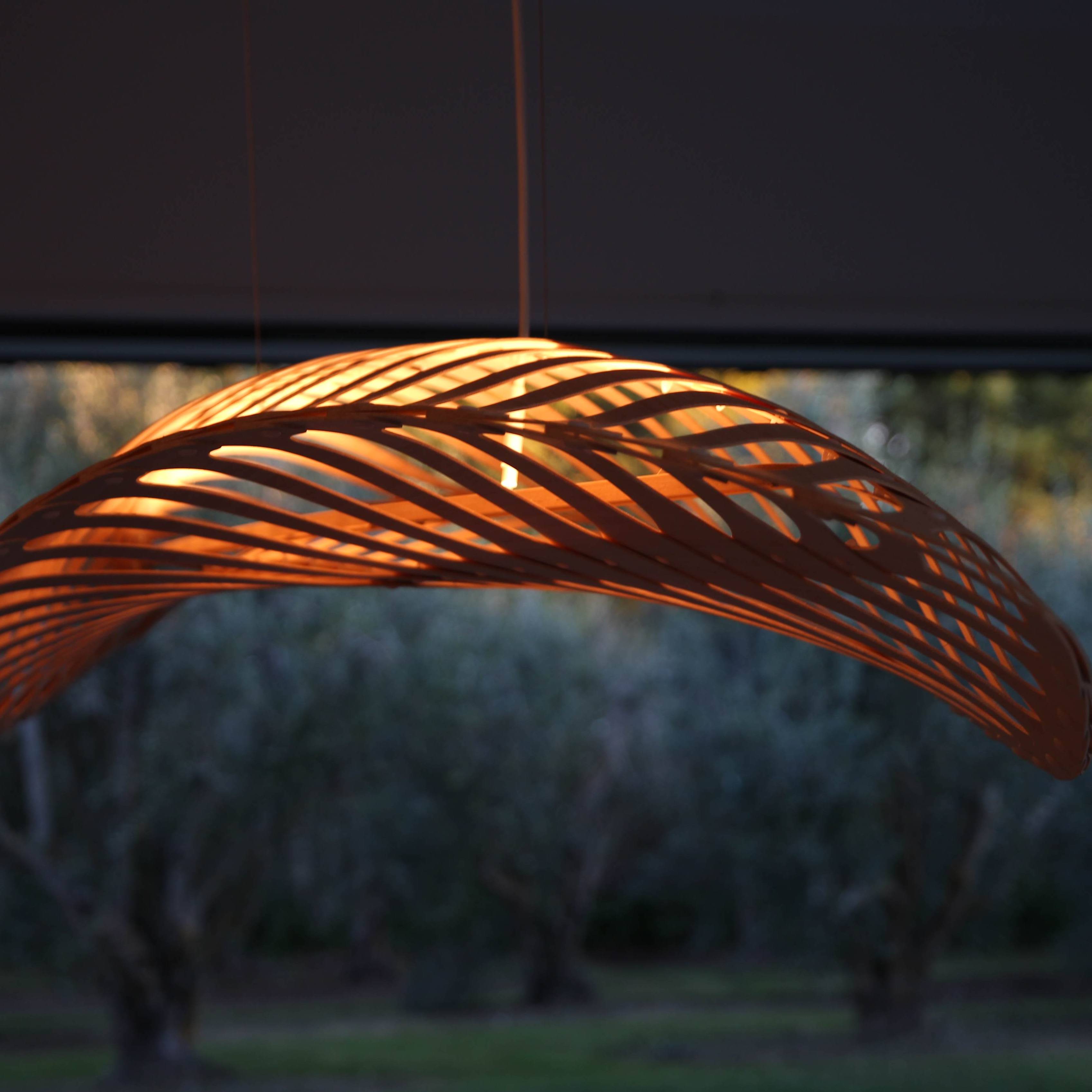 Navicula Pendant Light