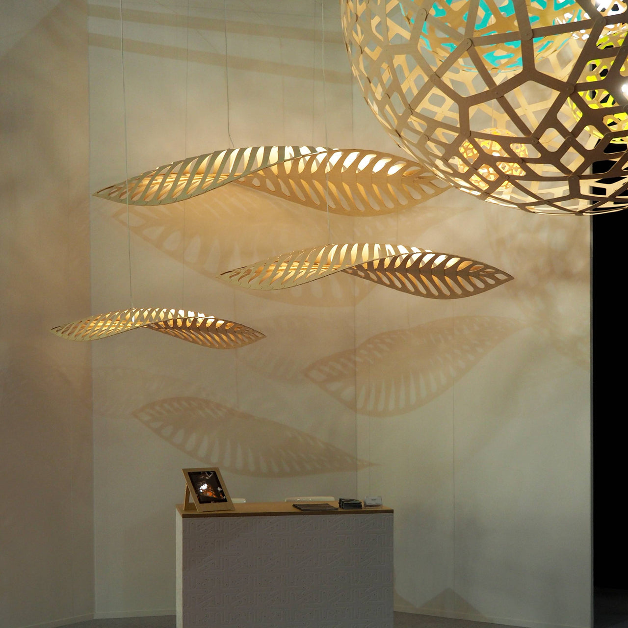 Navicula Pendant Light: LS