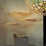 Navicula Pendant Light: LS