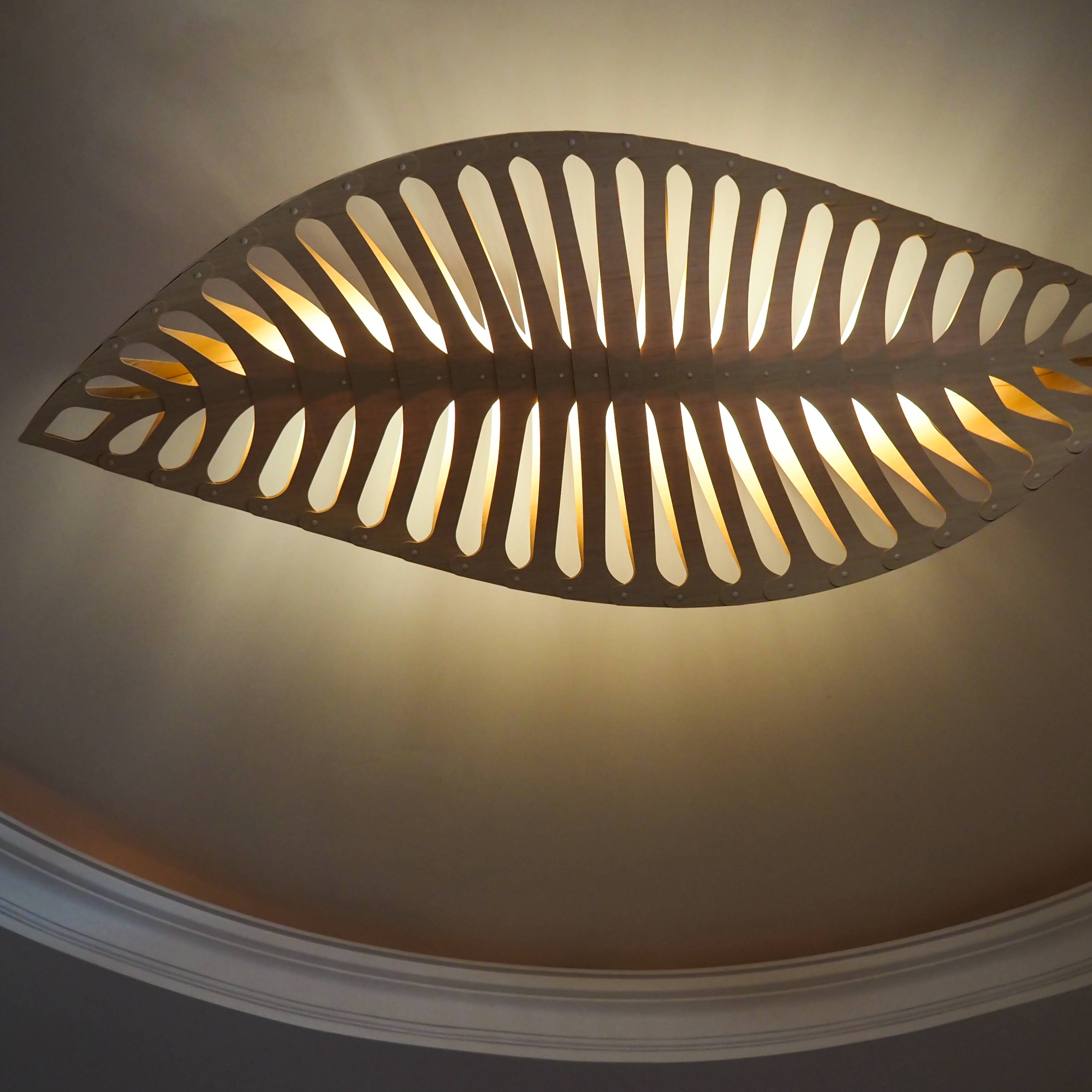 Navicula Pendant Light: LS