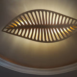 Navicula Pendant Light: LS