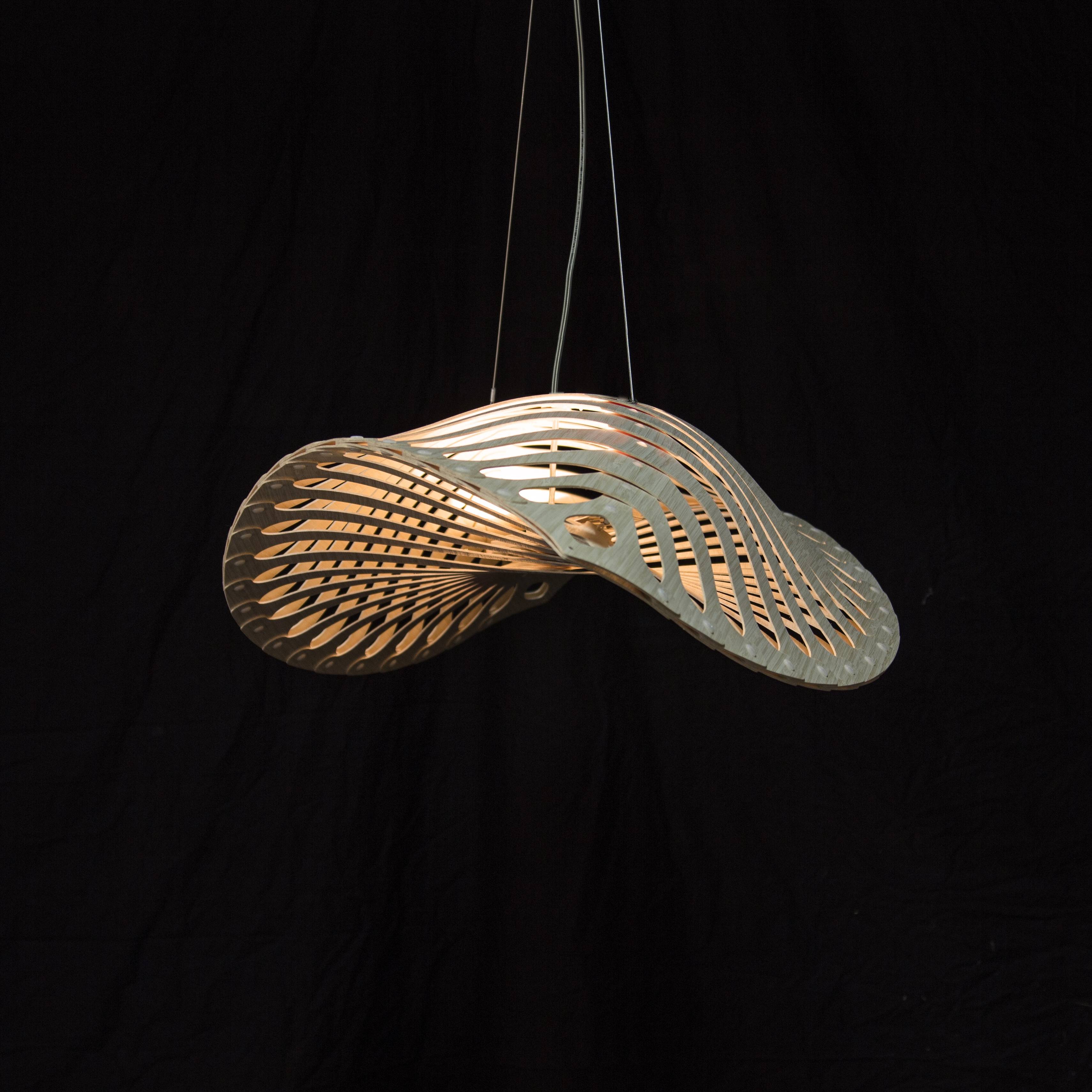 Navicula Pendant Light: LS