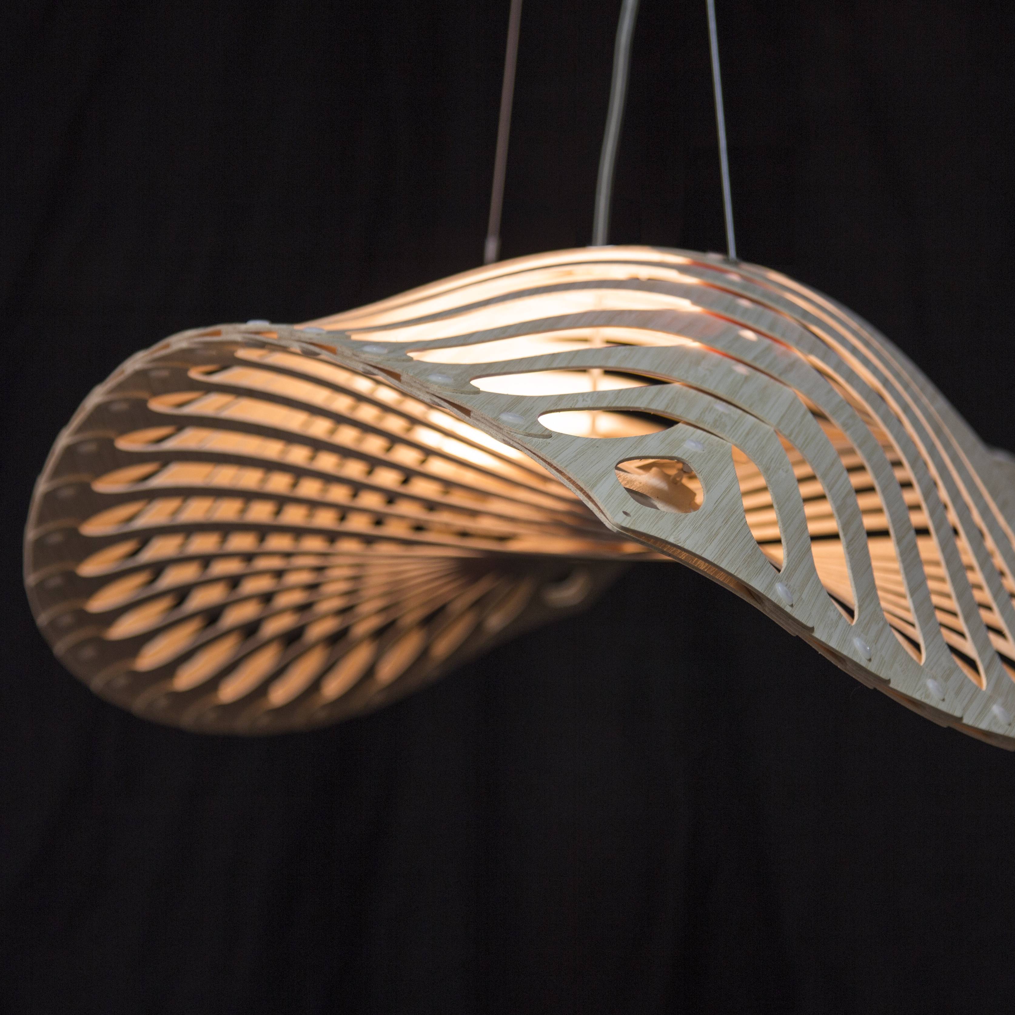 Navicula Pendant Light: DI